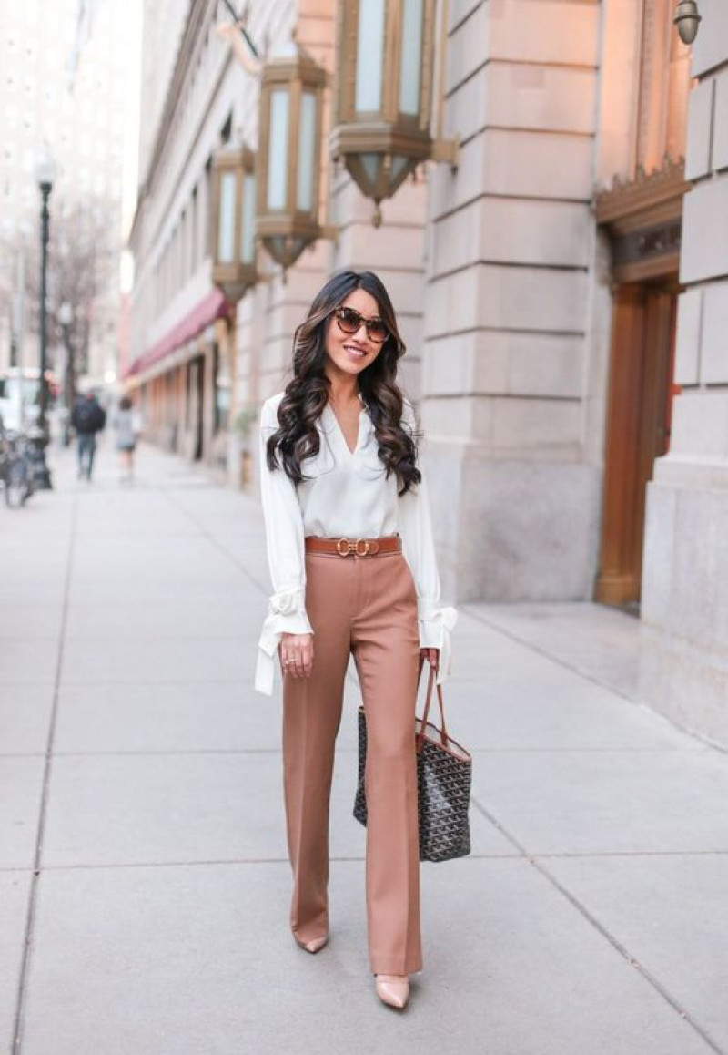 White Long Sleeves Blouse, Pink Silk Formal Trouser, Outfits